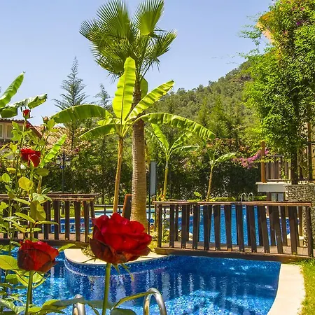 Hotel Alya 5*