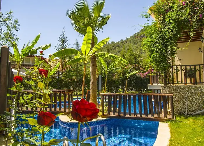 Hotel Alya 5*