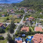 Alya