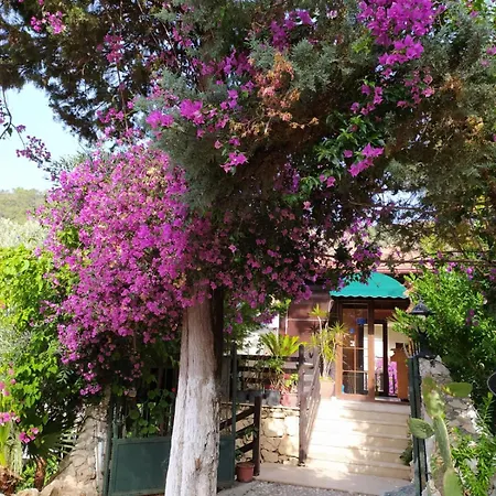 Hotel Alya Göcek