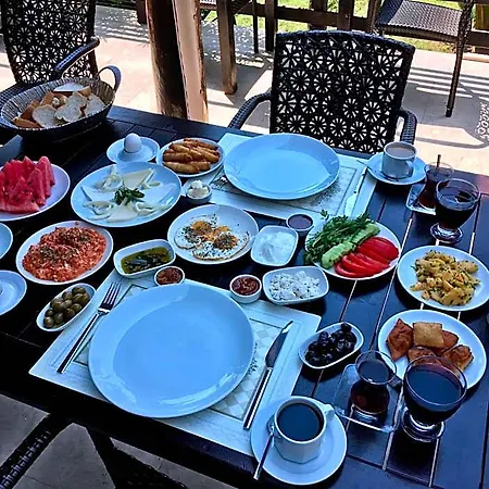 فندق Alya غوجيك