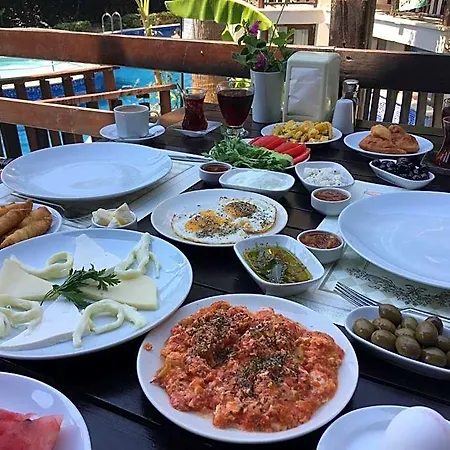 فندق Alya