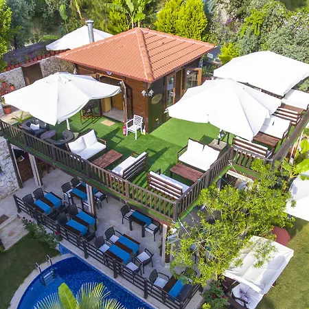 Hotel Alya