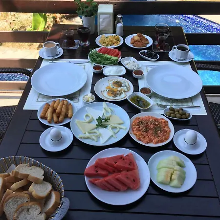 Hotel Alya